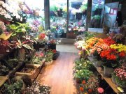「もりたか花店」　（長崎県長崎市）の花屋店舗写真1