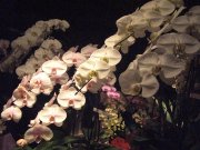 「もりたか花店」　（長崎県長崎市）の花屋店舗写真2